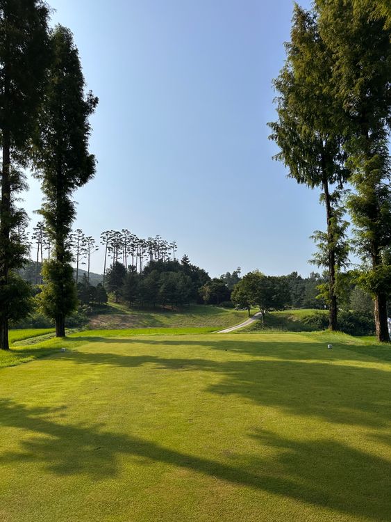 Parkland golf course fairway near Tokyo