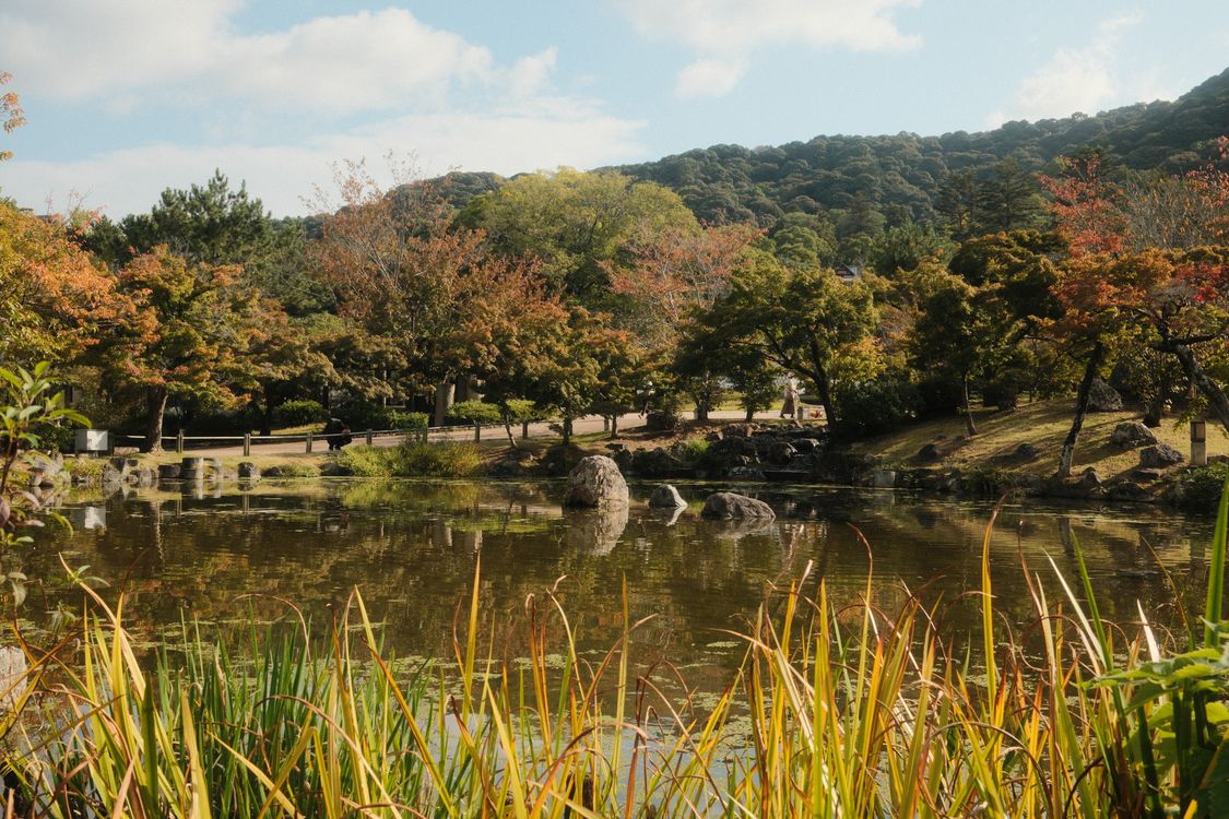 Biwako Golf Course autumn lake view