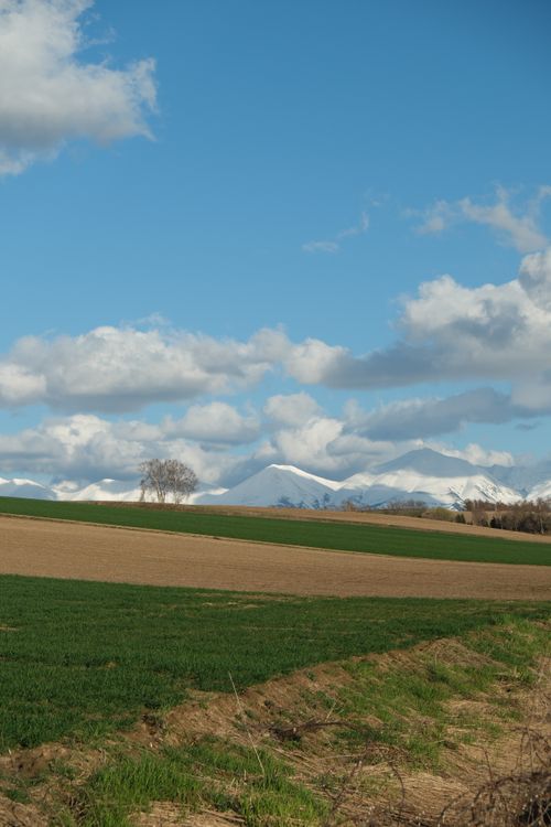 Biei Hokkaido landscape near Furano golf